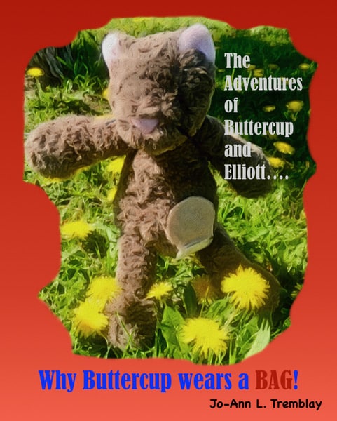 Buttercup Book Front Cover